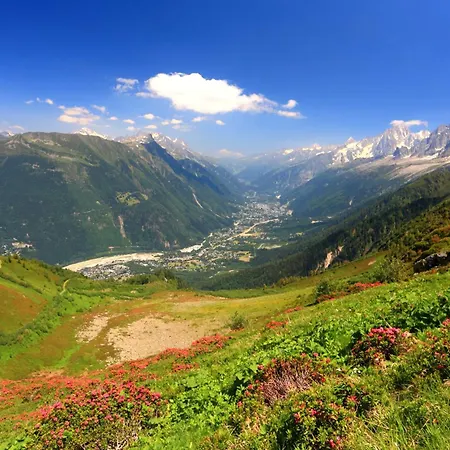 La Maisonnee De Julie - Happy *